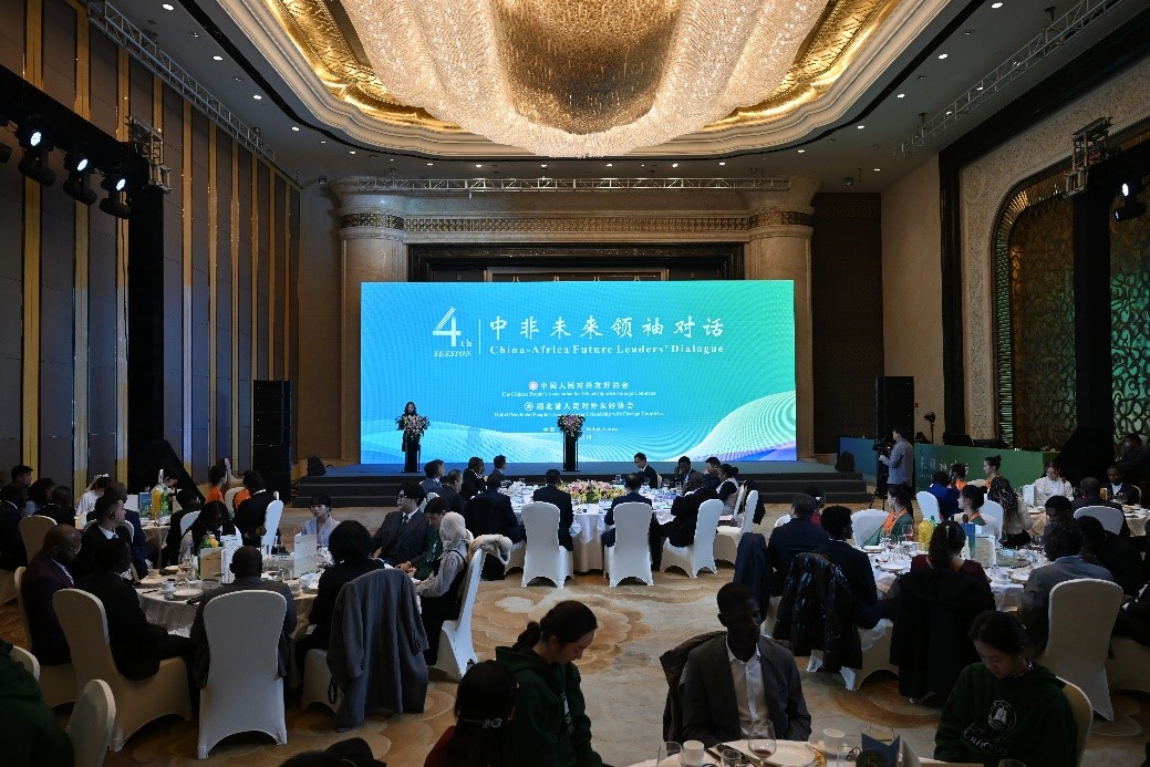 图片8